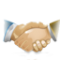 Официальный представитель
